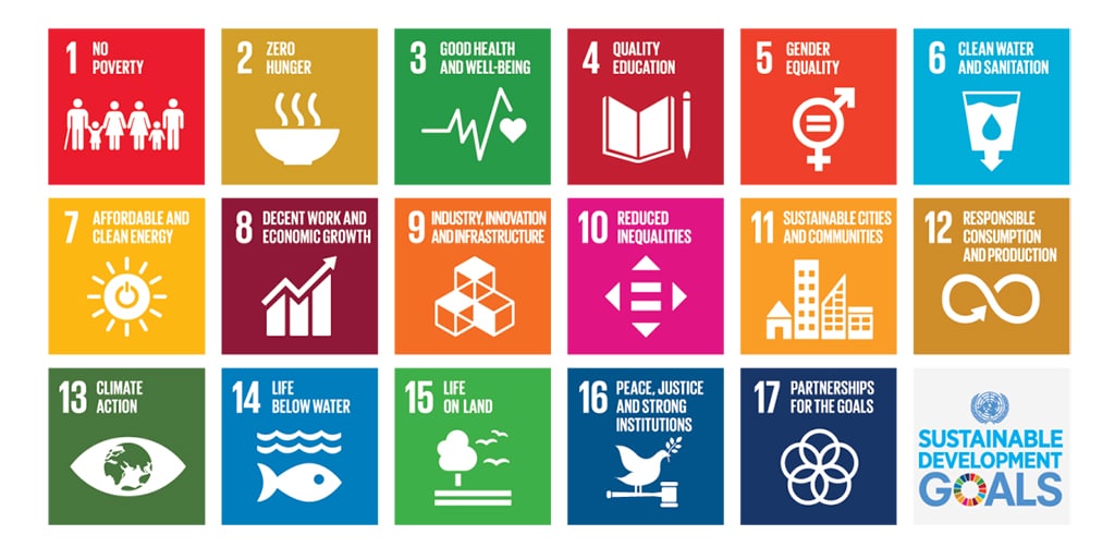 picture of UNs 17 sustainability development goals 