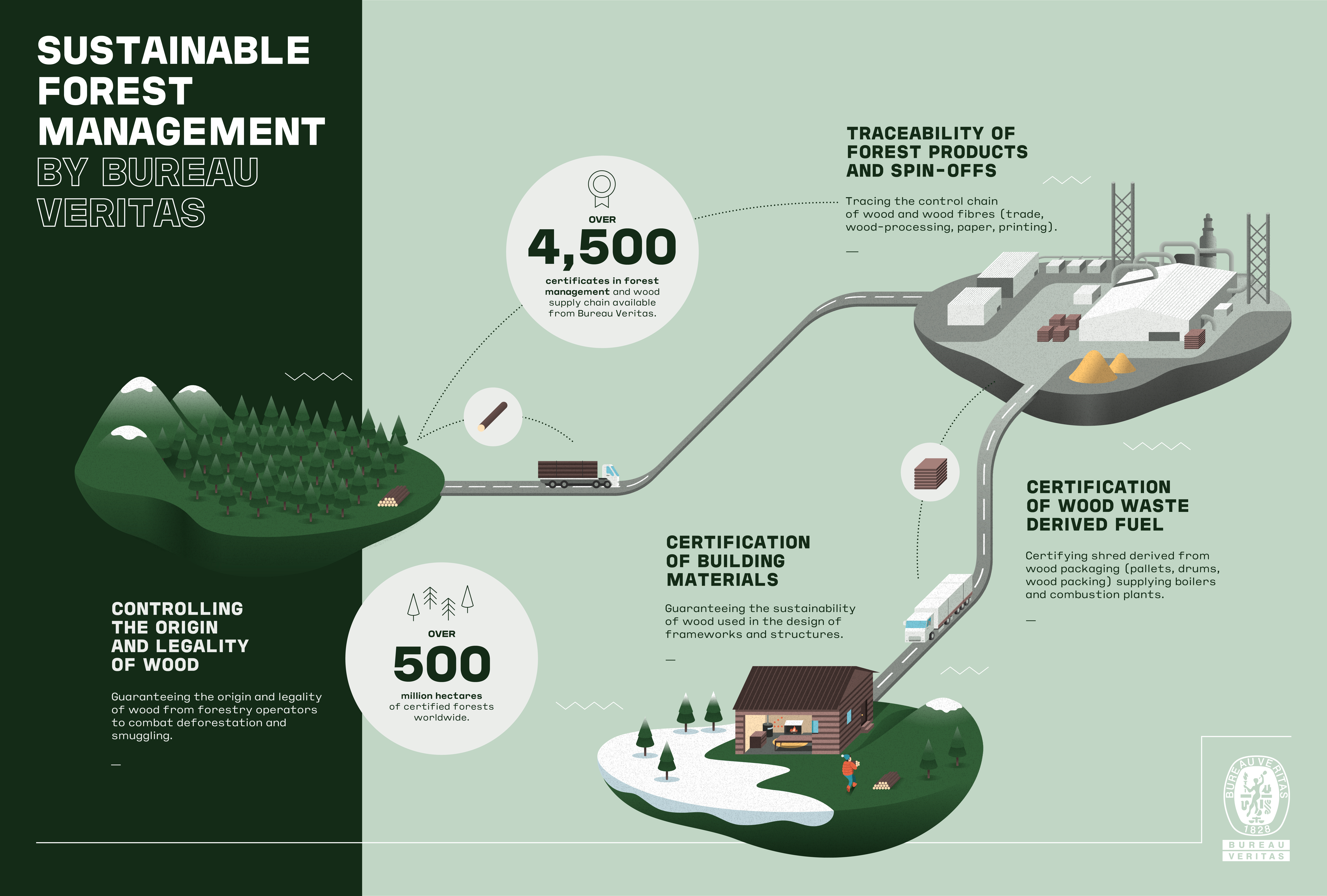 infographic forest management