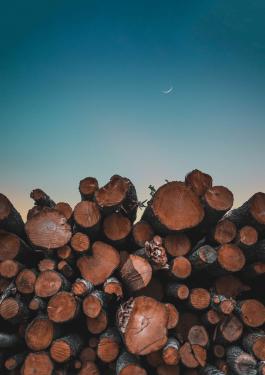pile of lumber 