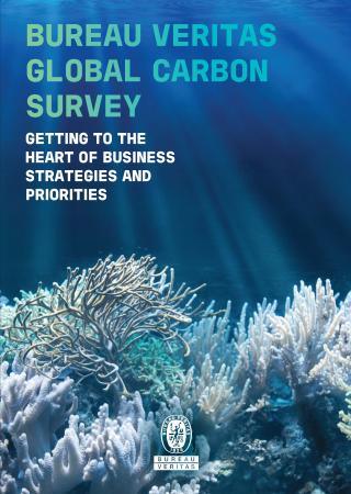 First page Carbon survey whitepaper
