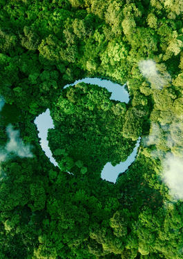en skog med vatten format som en cirkel 